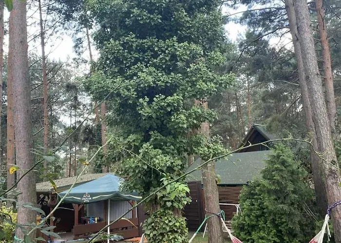 Dom Letniskowy Irena Ferienhaus *